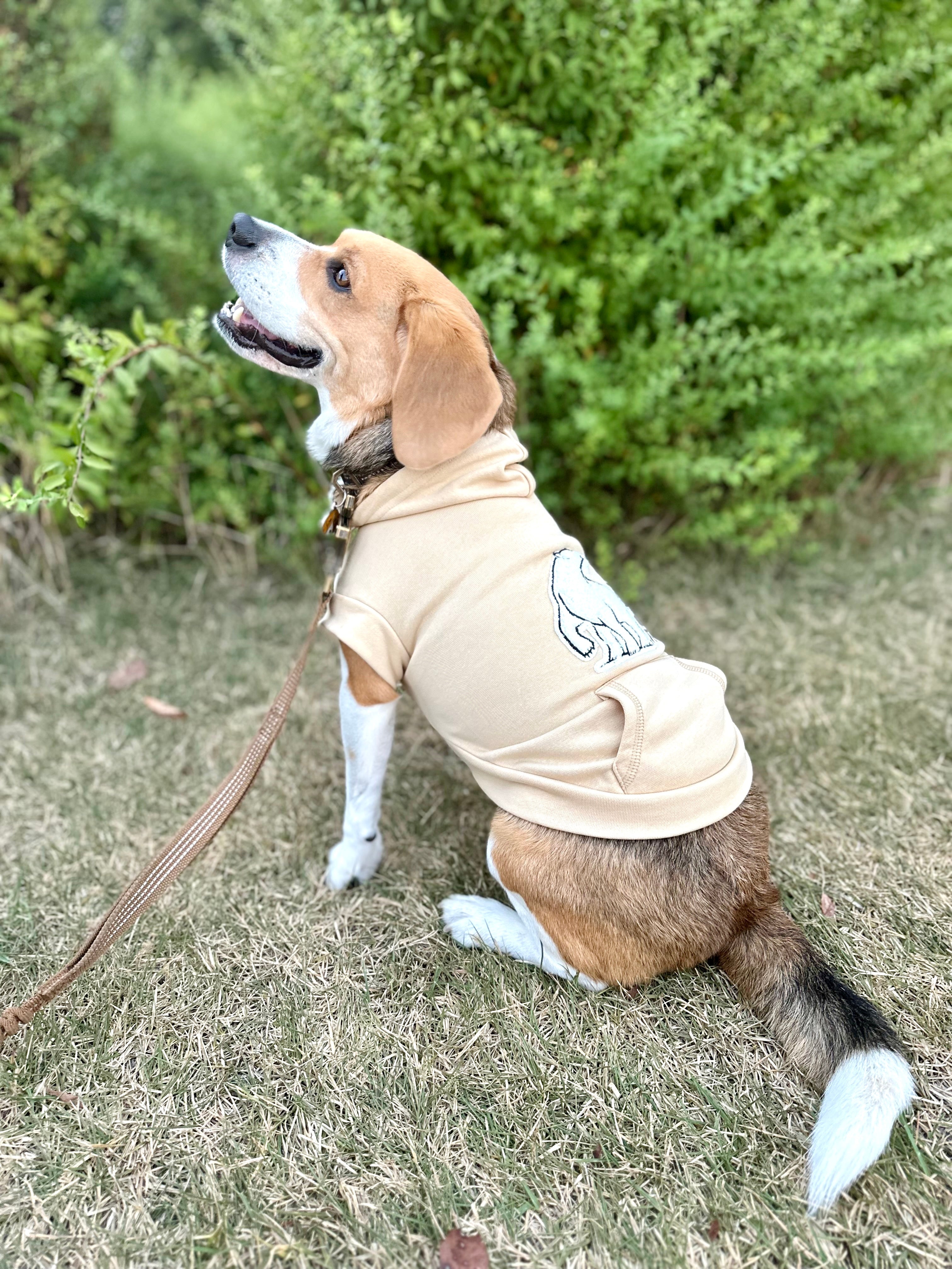 【NEW】Nordisk Dog Foodie