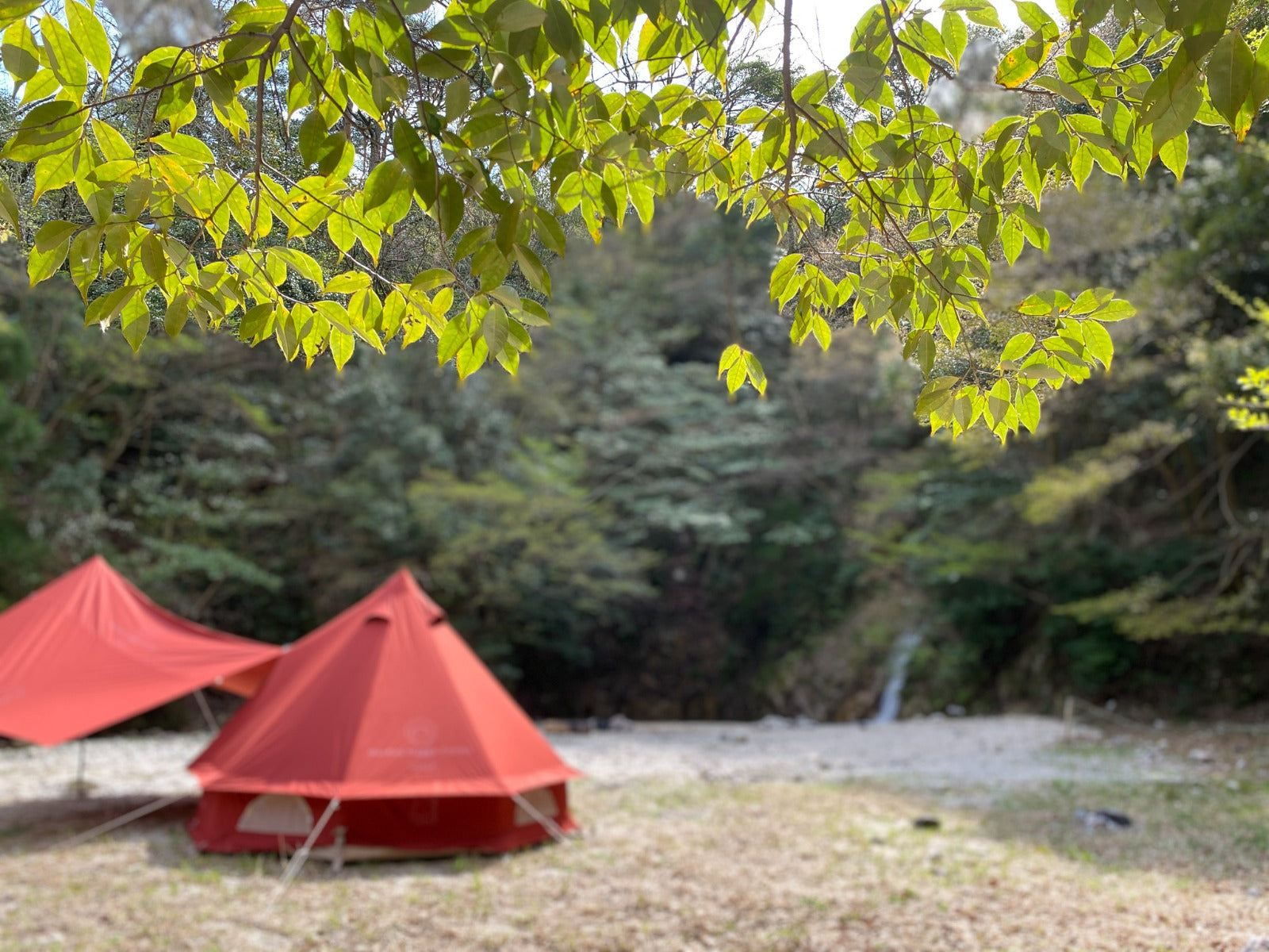 Asgard7.1+Kari12 Set / Burnt Red