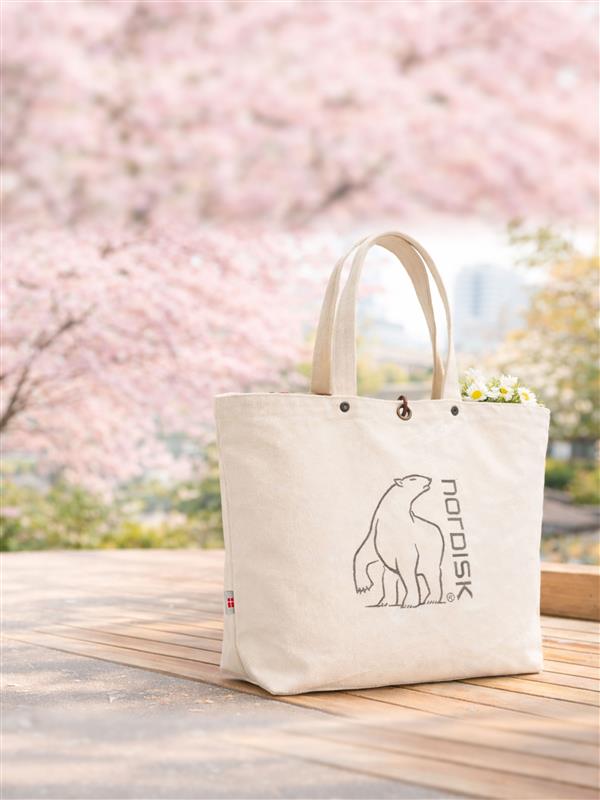 極レア 新品 NORDISK（ノルディスク）トートバッグ トートコットンバッグ ノルディスクのコットンバッグが、ざっくり使えて小物収納にも便利だっ