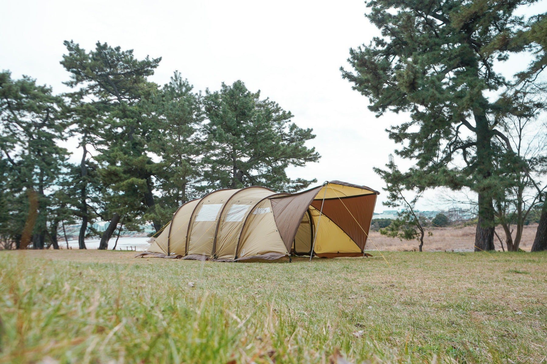 Reisa 6 Beige tent With Brown Skirt