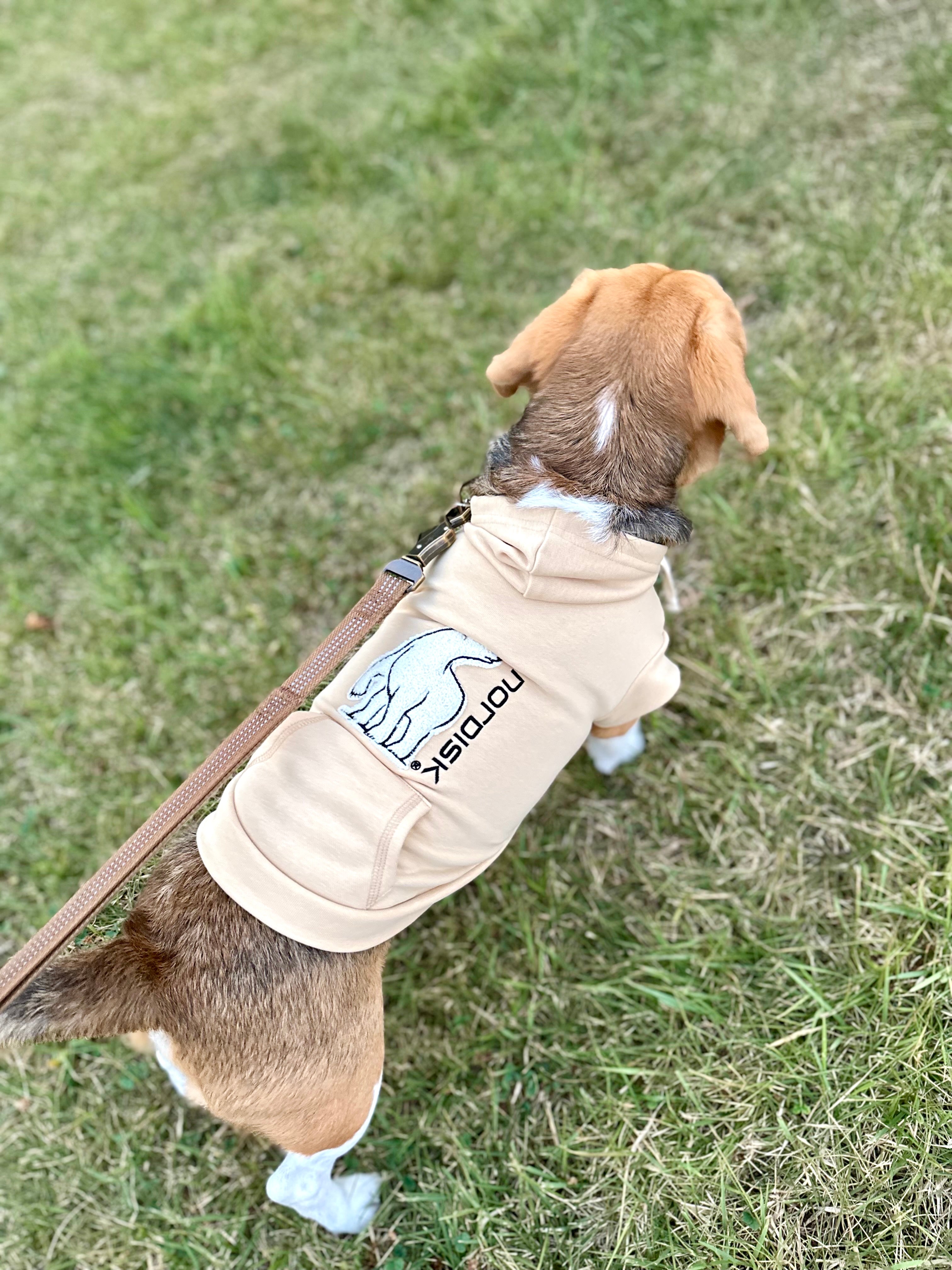【NEW】Nordisk Dog Foodie