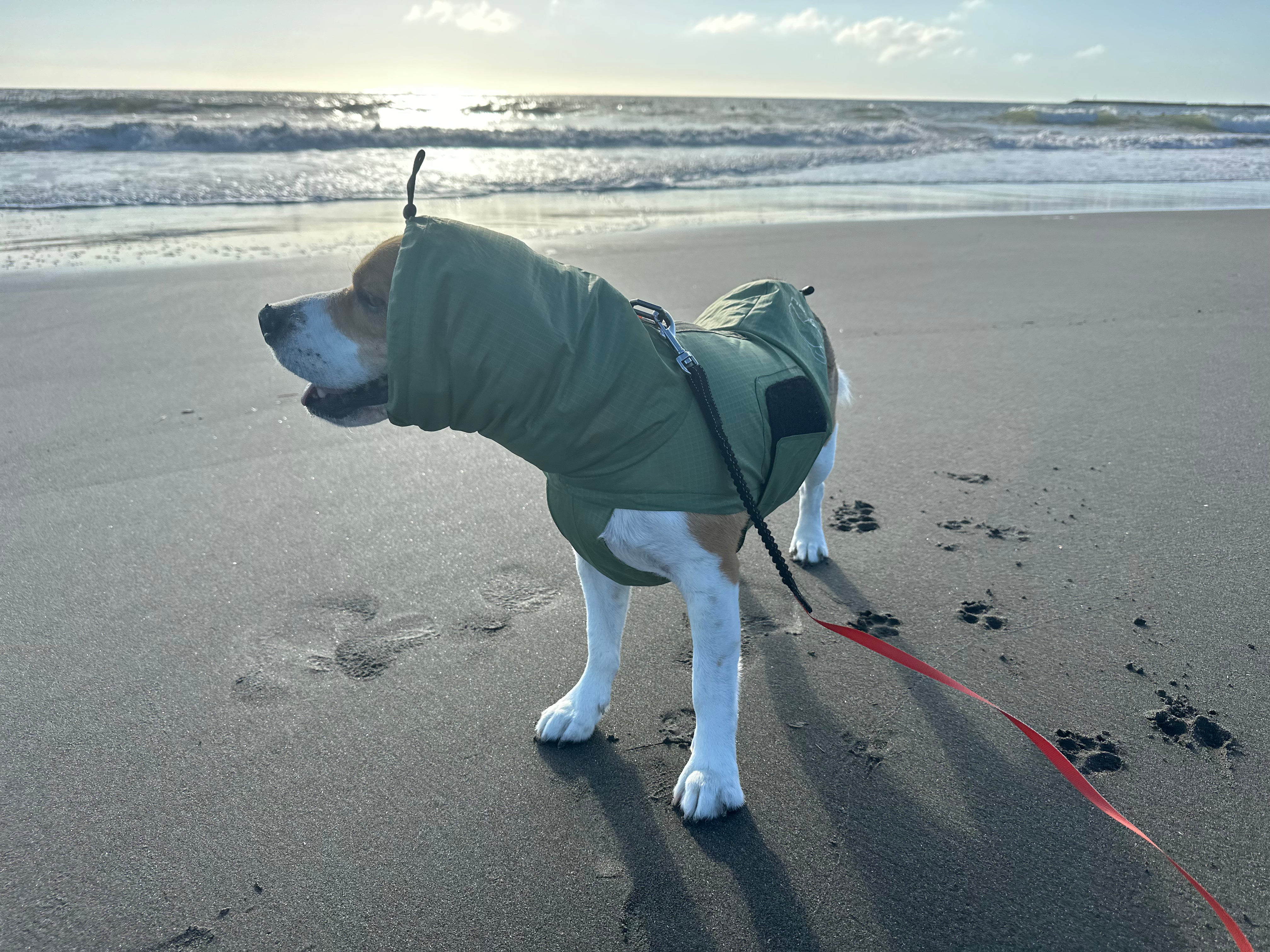 【NEW】Nordisk Rain Jacket